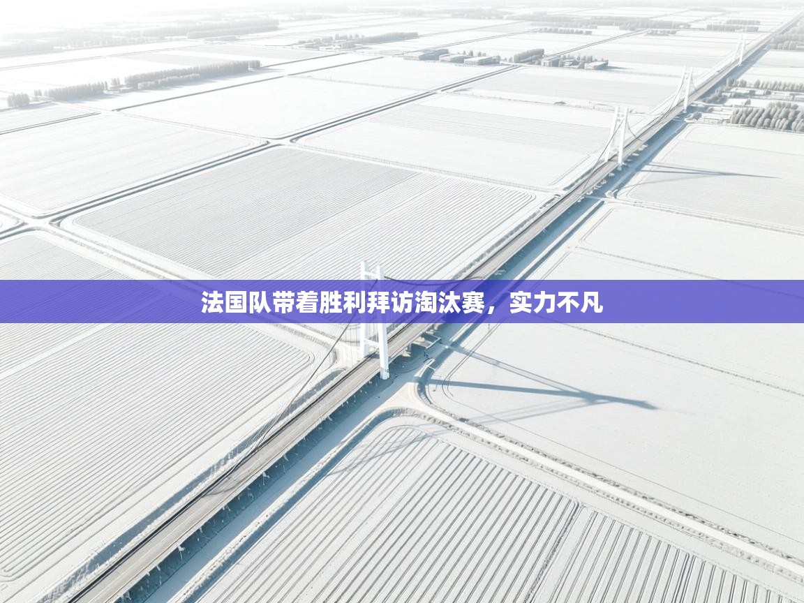 法国队带着胜利拜访淘汰赛，实力不凡  第1张