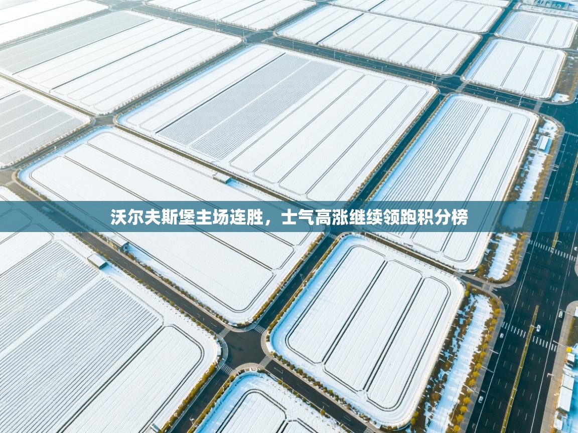 沃尔夫斯堡主场连胜,士气高涨继续领跑积分榜 第1张