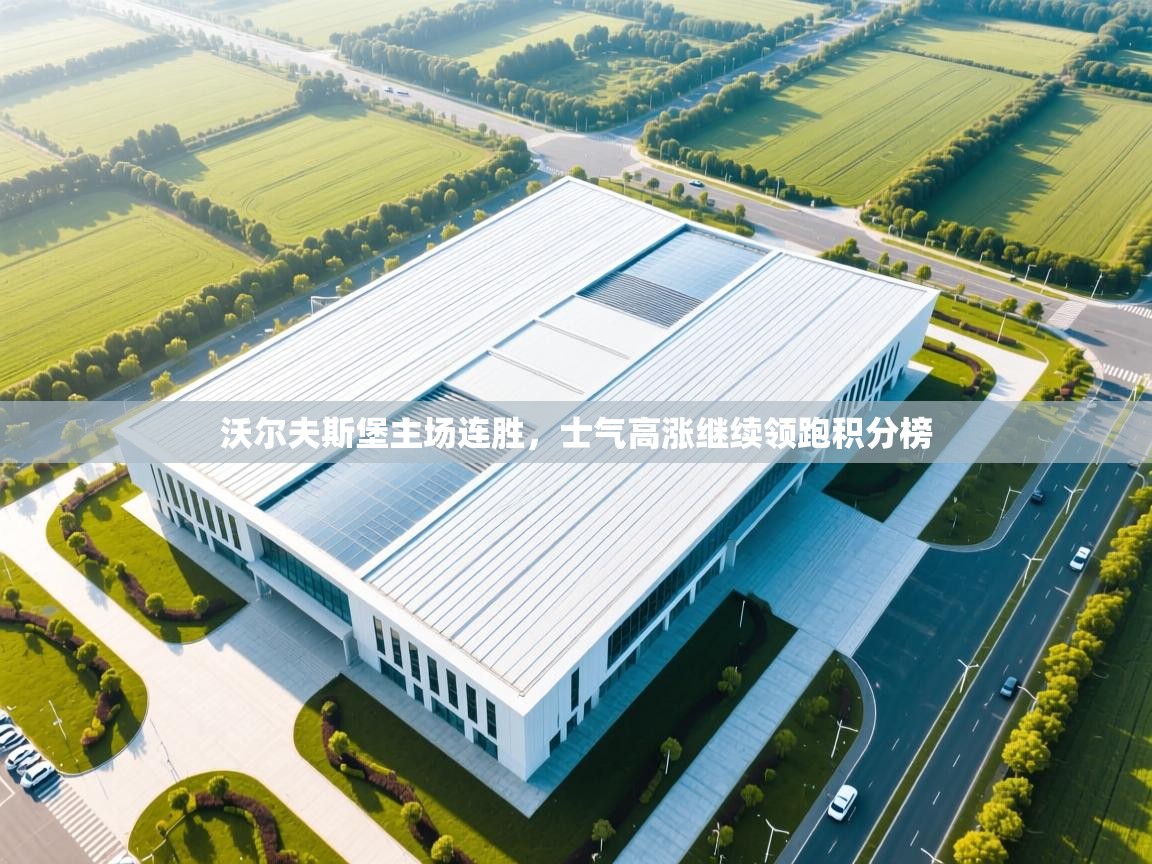 沃尔夫斯堡主场连胜,士气高涨继续领跑积分榜 第2张